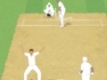 Žaidimas Cricket Umpire Decision