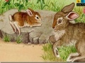 Žaidimas Rabbits at the farm puzzle 