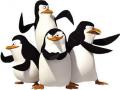 Pingvinai Madagaskaras žaidimai 