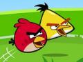 Angry Birds žaidimai 