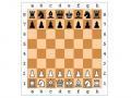 Šachmatų žaidimai 
